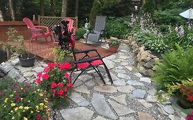 Petit Coin De Paradis